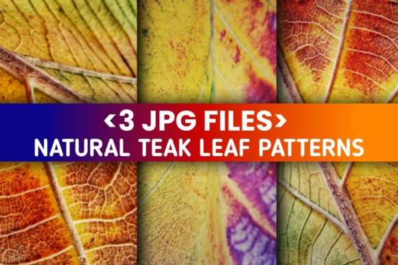 3 Set Real Natural Teak Leaf Patterns