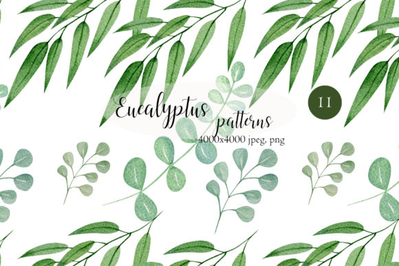 Watercolor Eucalyptus Seamless Patterns